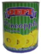 Jefi Pineapple Slices In Syrup 850gm